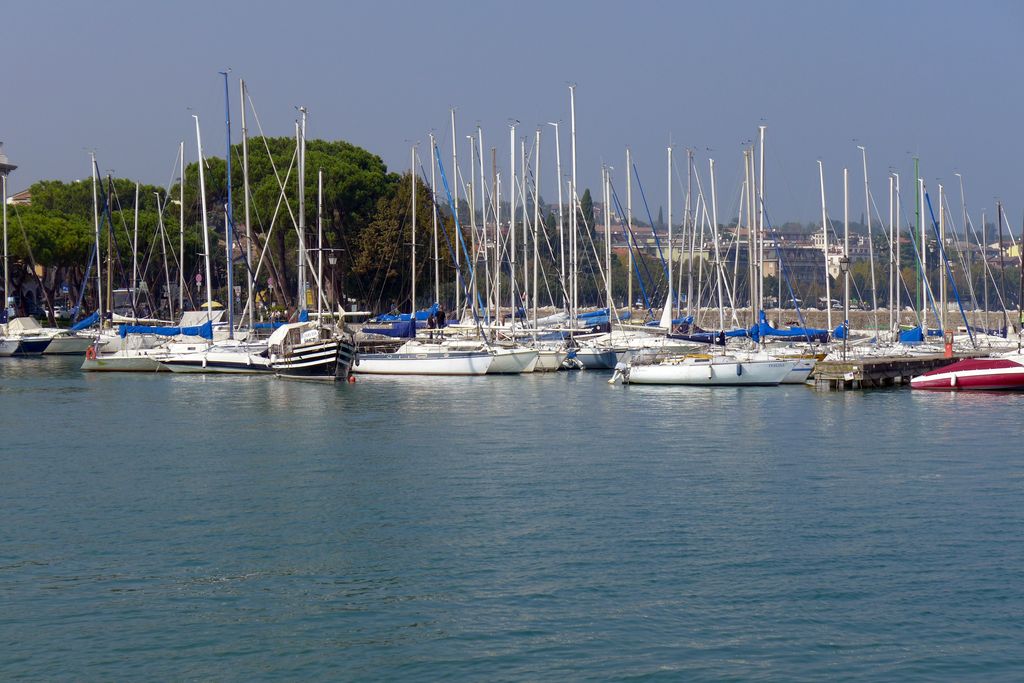 Lazise