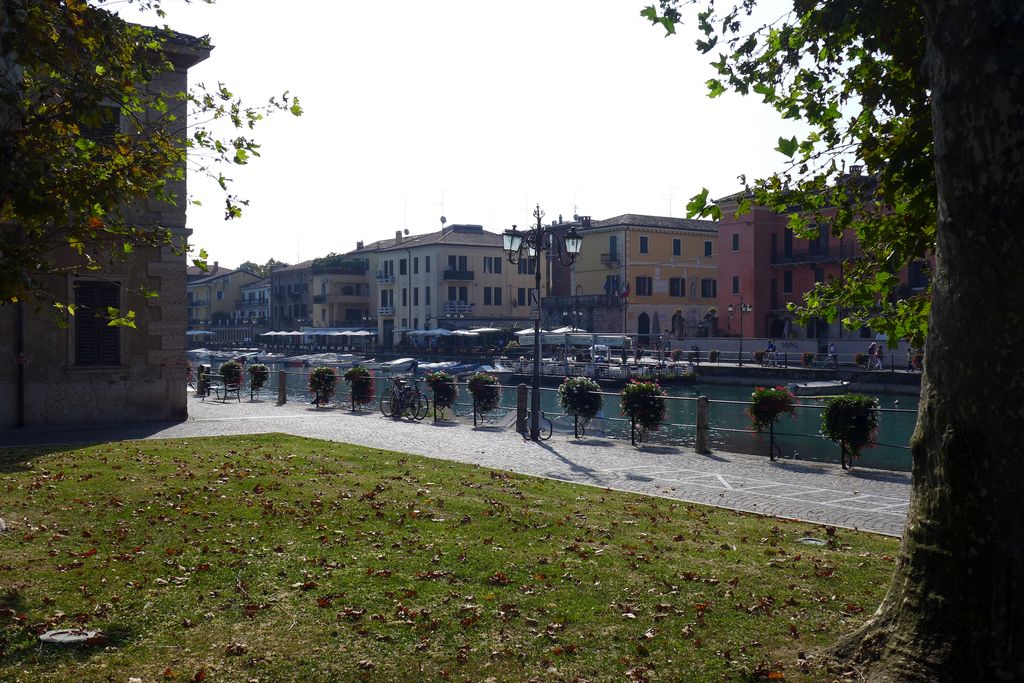 Lazise